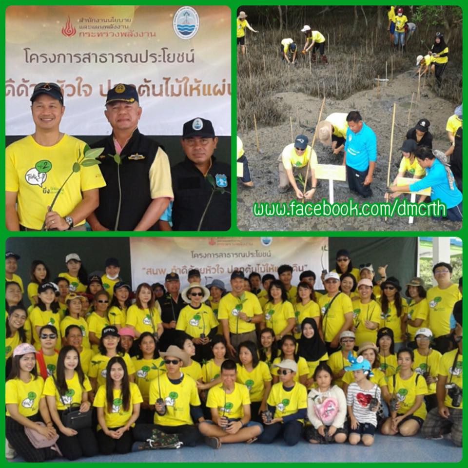 ทำดีด้วยหัวใจ กระทรวงพลังงานปลูกป่าชายเลน