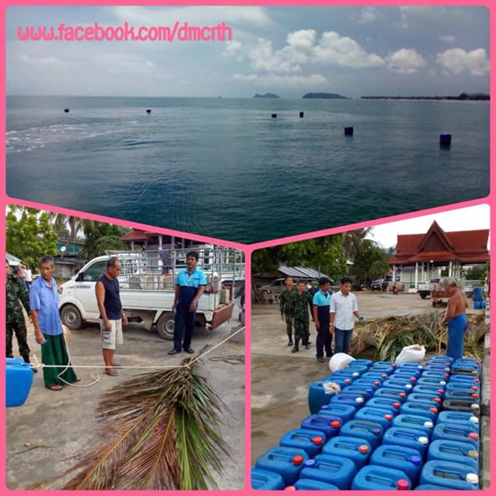 ปกป้องแนวปะการัง ท่าเรือบ้านใต้ทะเลสุราษฯ