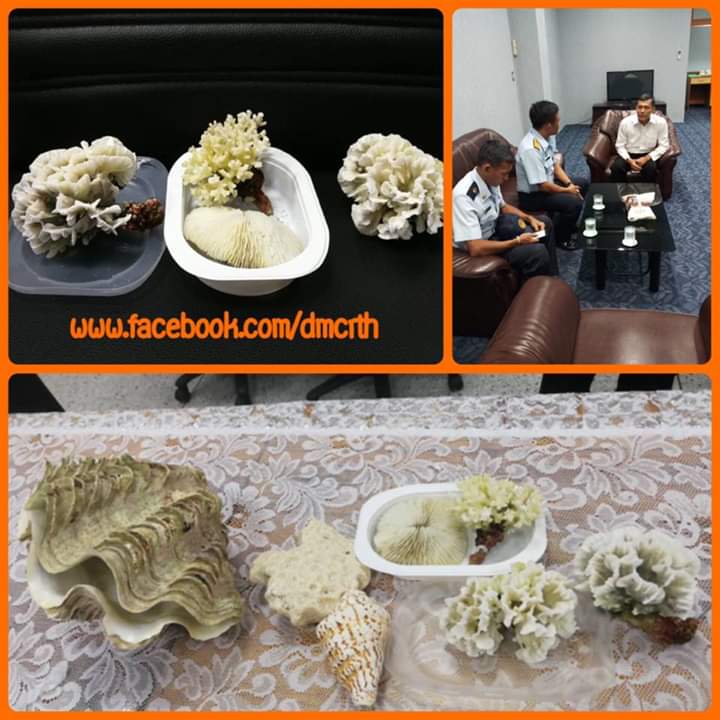 พบการลักลอบ นำซากปะการังเข้าสนามบินชุมพร