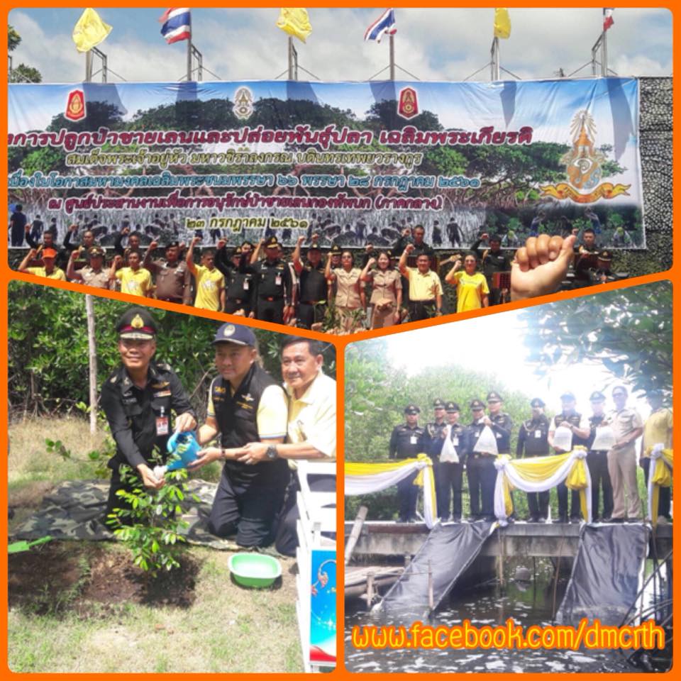 ทช. ร่วมทหาร ปลูกต้นรวงผึ้ง ปล่อยพันธ์ุปลา หาดเจ้าสำราญ เพชรบุรี