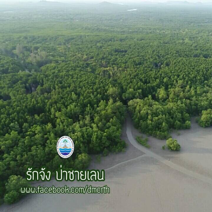 สวัสดี พี่น้องเครือข่ายรักษ์ทะเลไทย