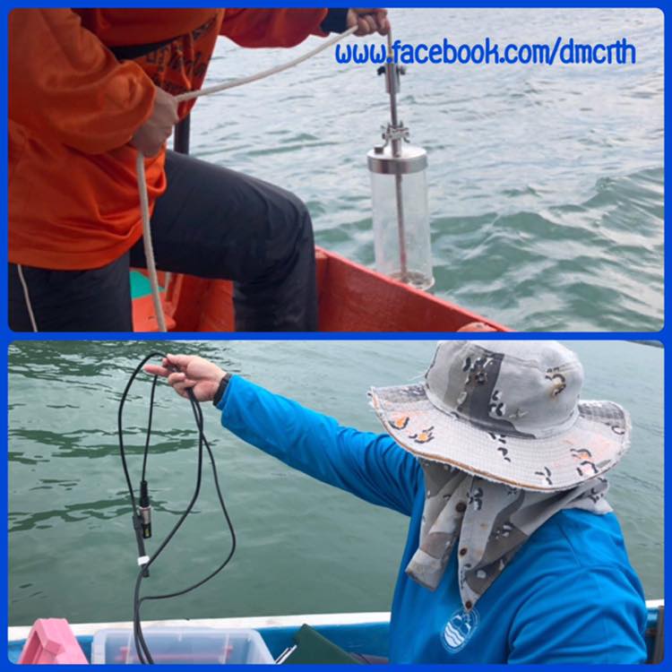 คุณภาพน้ำทะเลประจวบฯ ชุมพร อยู่ในเกณฑ์มาตรฐาน