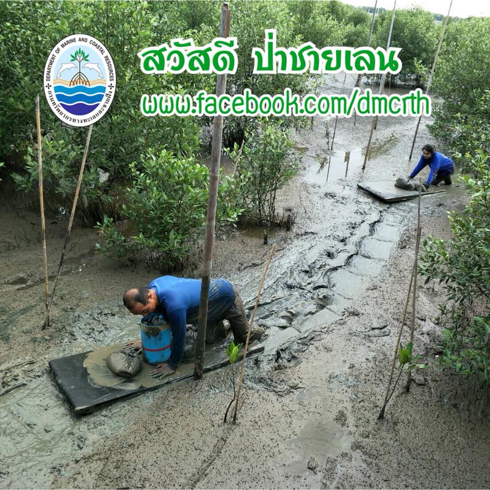 สวัสดี พี่น้องเครือข่ายรักษ์ทะเลไทย