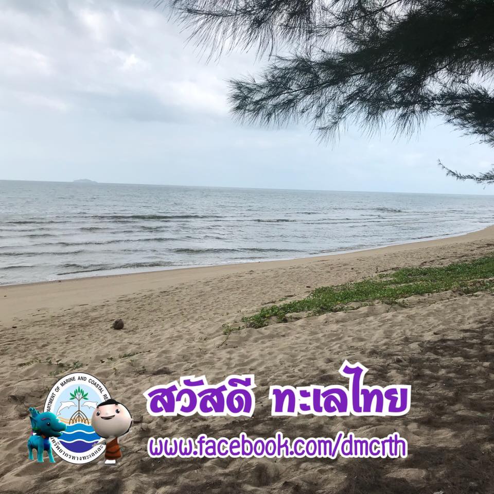 สวัสดี พี่น้องเครือข่ายรักษ์ทะเลไทย
