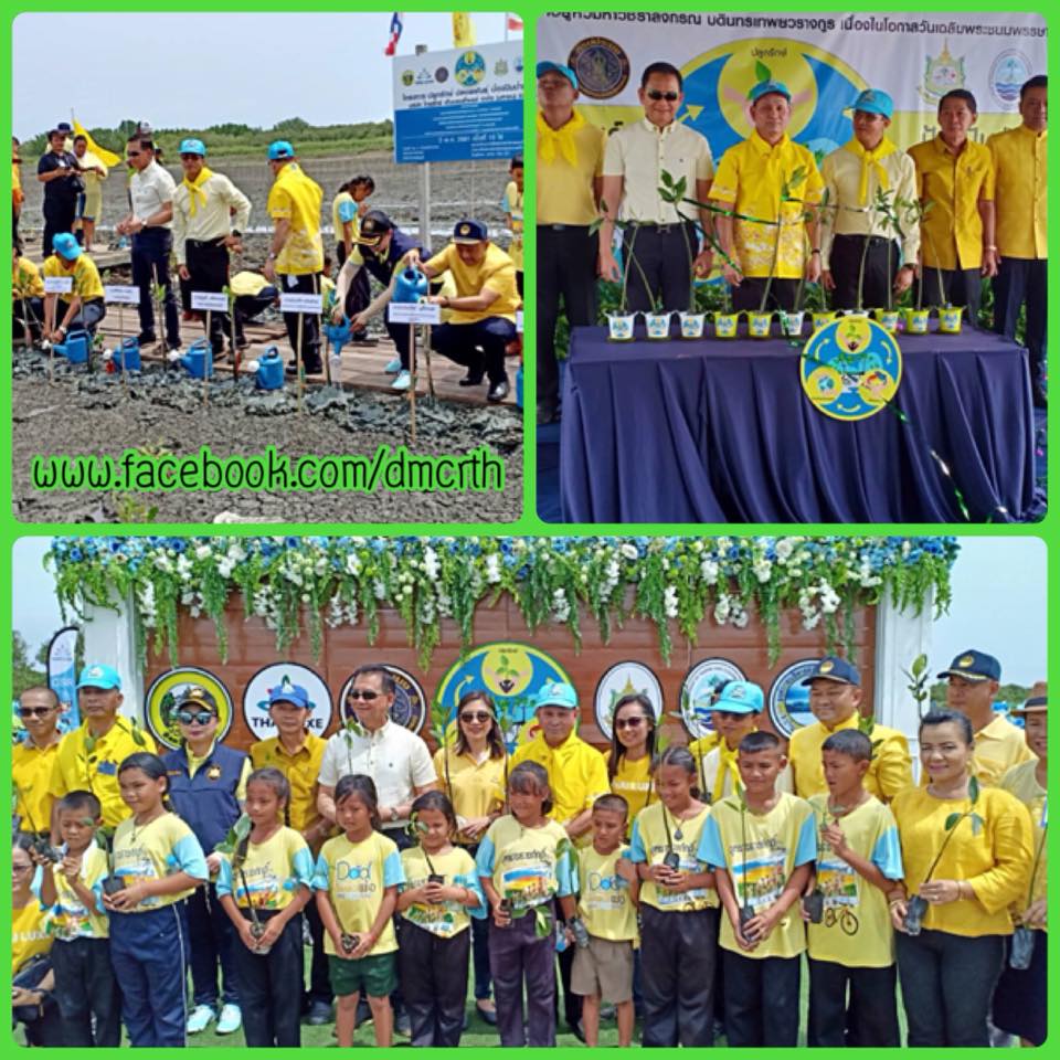ปลูกรักษ์ ปล่อยพันธุ์ ป้องปันป่าชายเลนเมืองเพชร