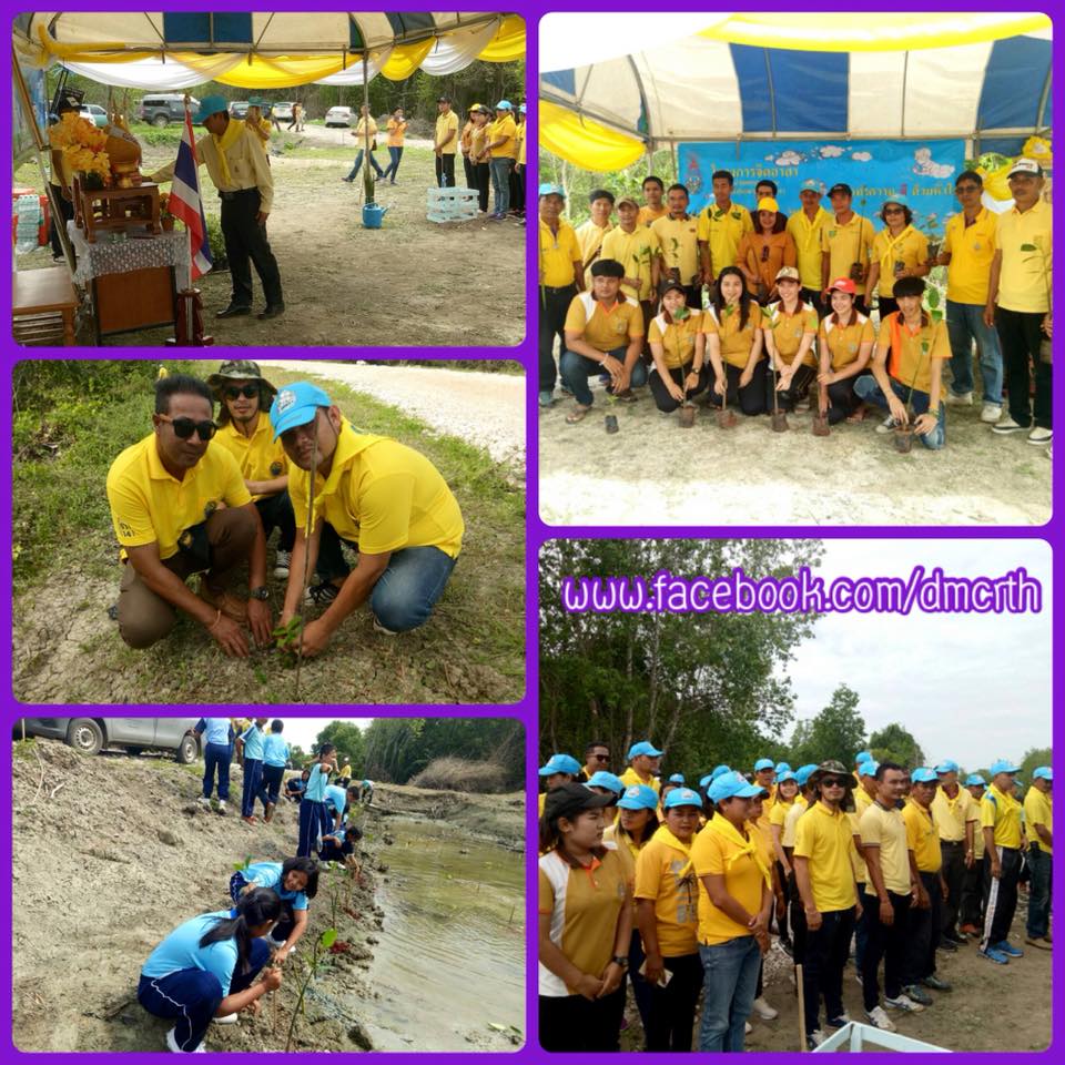 สุราษฎร์ฯ ทำความดีด้วยหัวใจ ปลูกต้นไม้ถวายในหลวง