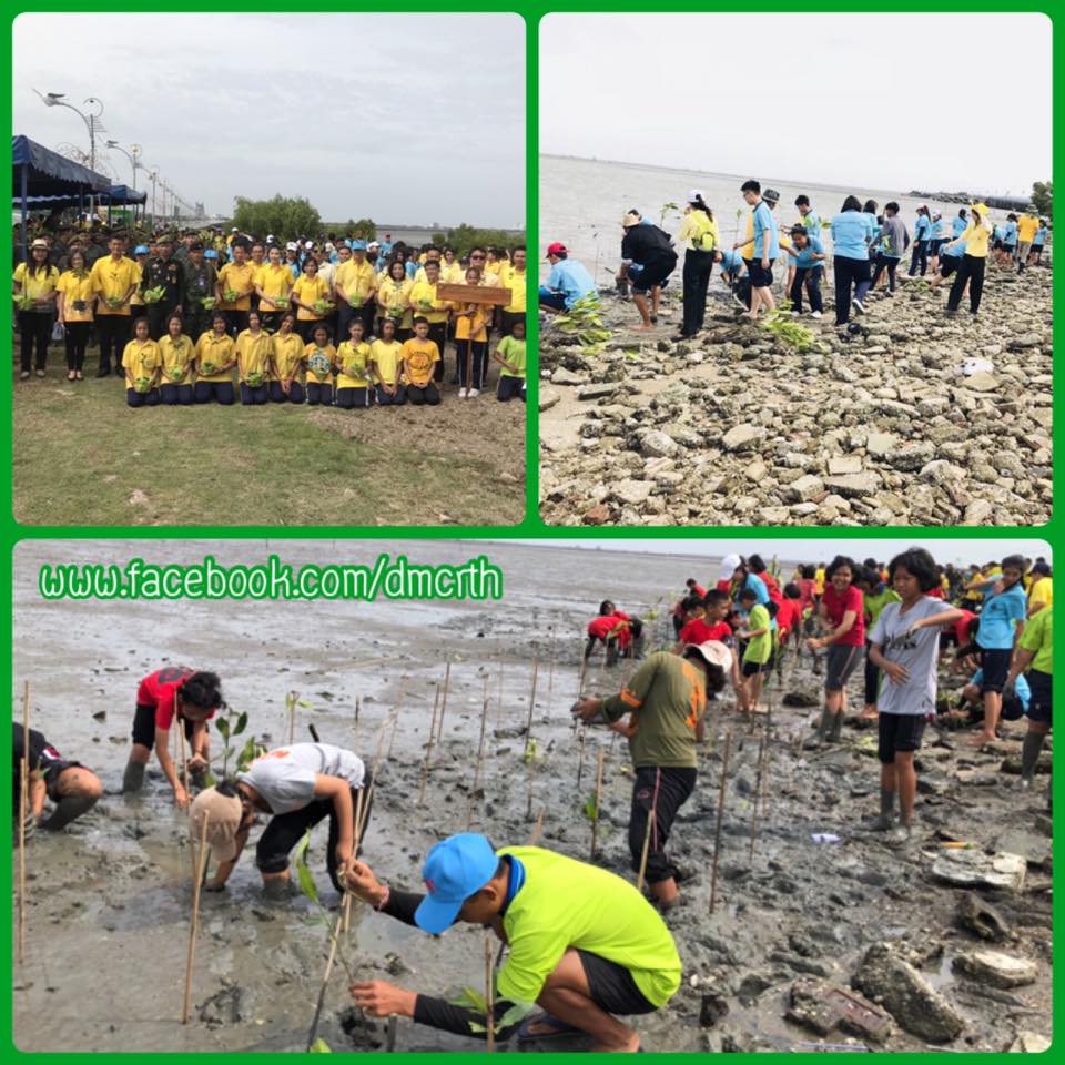ฟื้นฟูป่าชายเลนเมืองชลบุรี ถวายในหลวง ร.๑๐