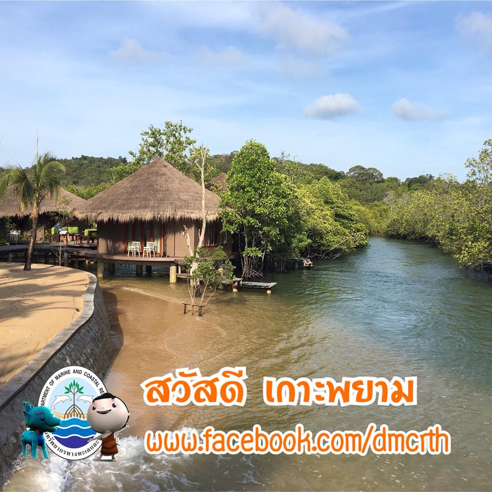 สวัสดี พี่น้องเครือข่ายรักษ์ทะเลไทย