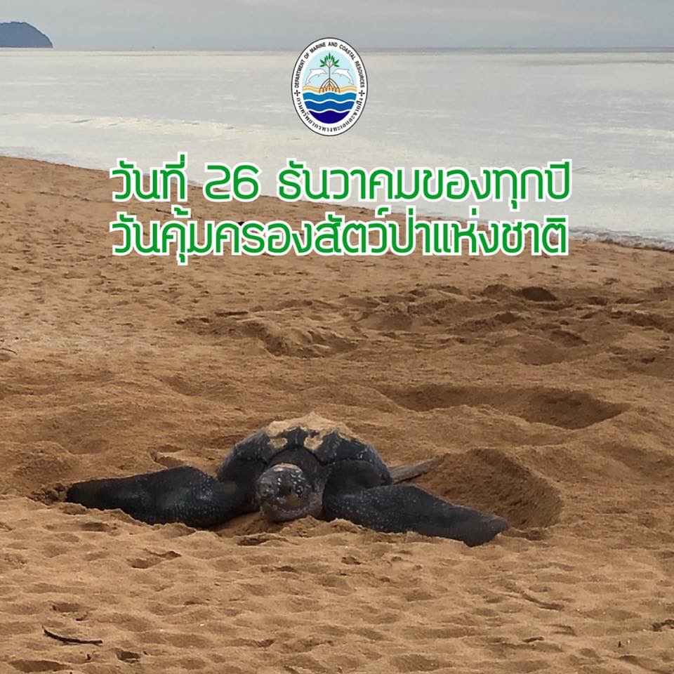 สวัสดี พี่น้องเครือข่ายรักษ์ทะเลไทย