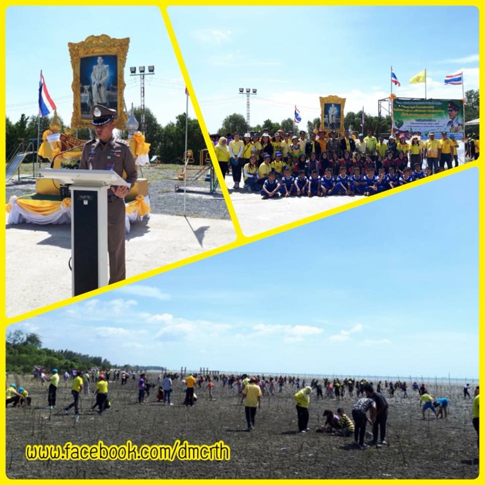 ร่วมใจปลูกป่าชายเลนท่าศาลา ถวายในหลวง ร.๑๐