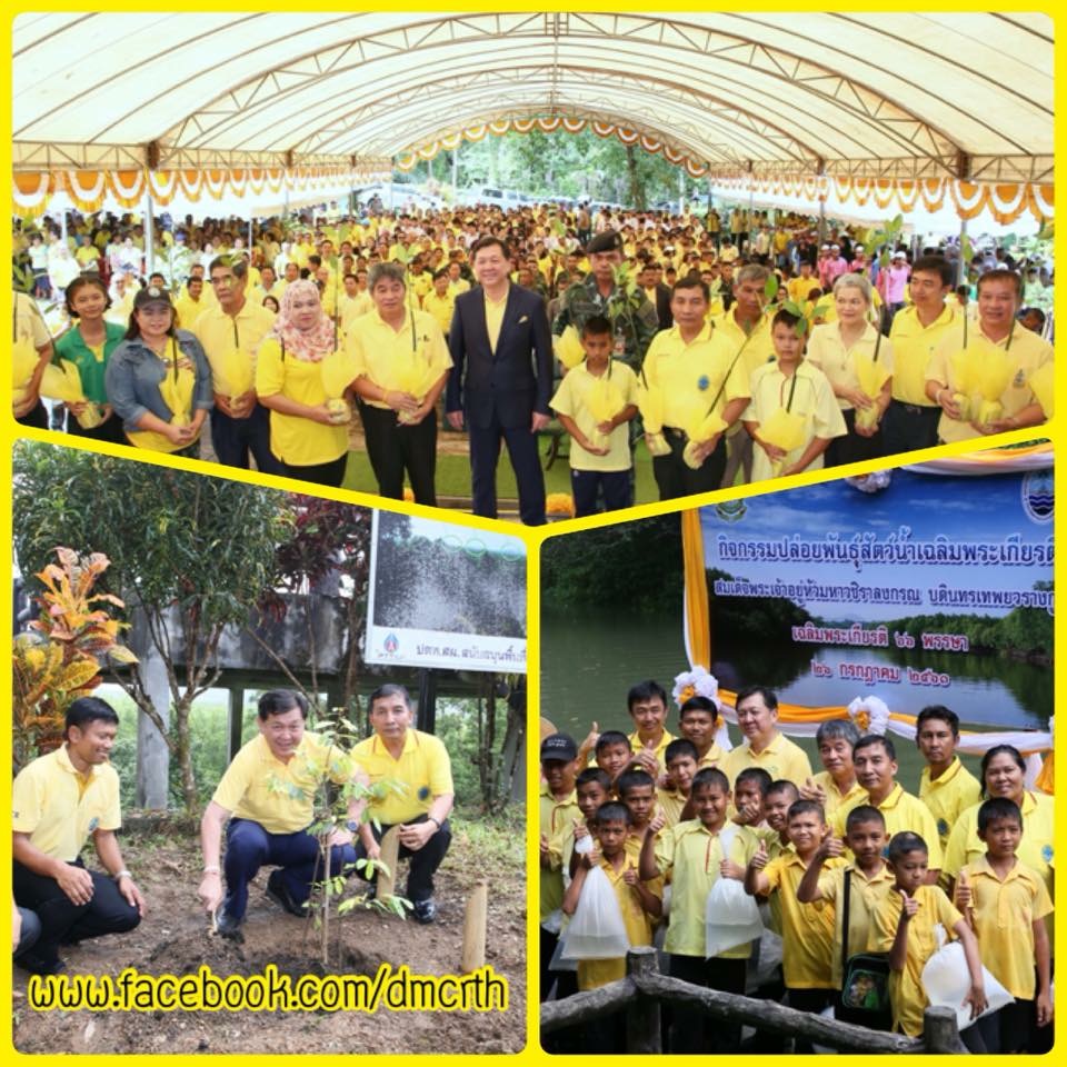 ทช. จัดวันป่าชายเลนโลก ชูระนองต้นแบบอนุรักษ์