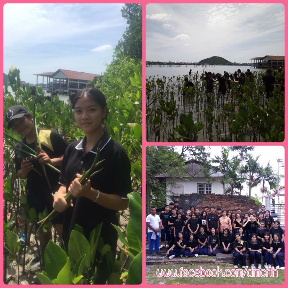 นำความรู้เรื่องทะเลและป่าชายเลนสู่น้องหาดใหญ่