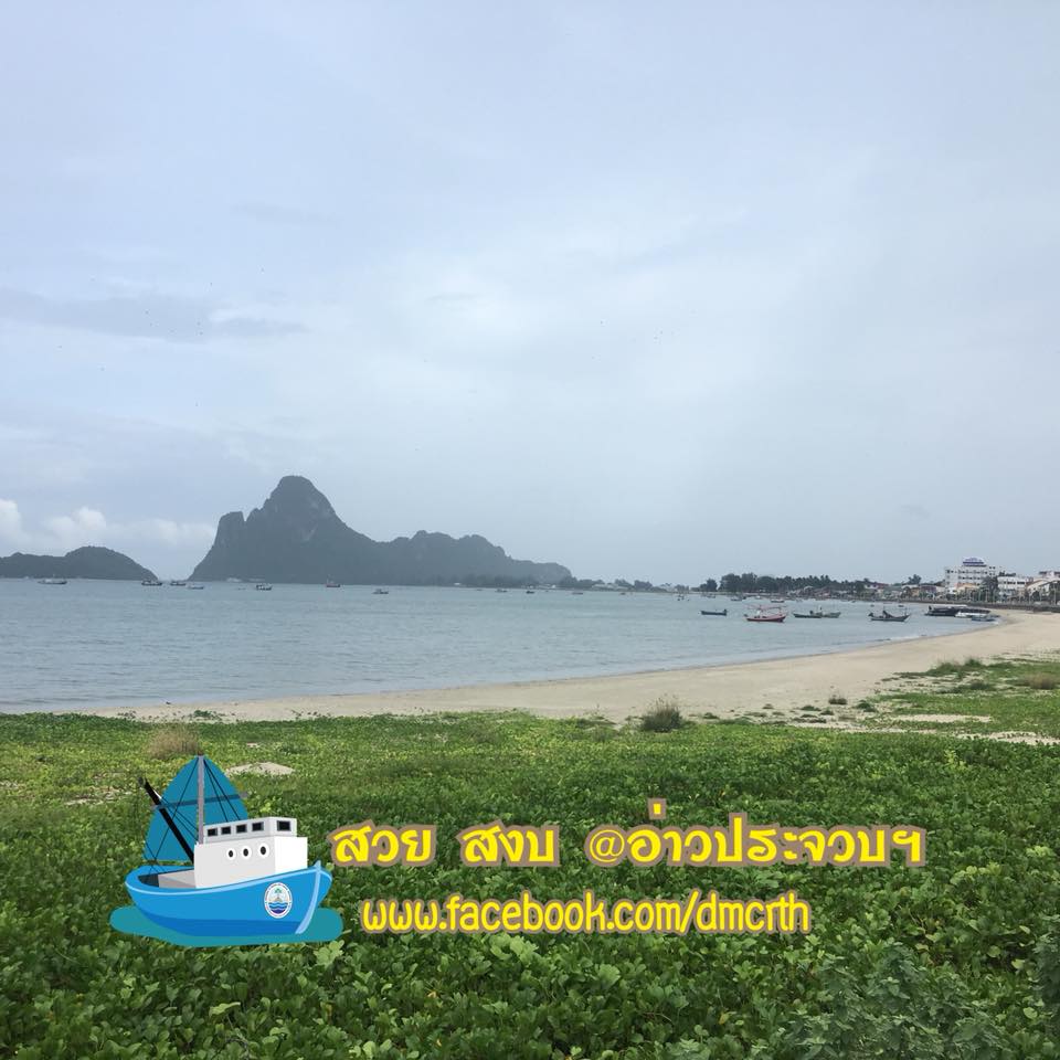 สวัสดี พี่น้องเครือข่ายรักษ์ทะเลไทย