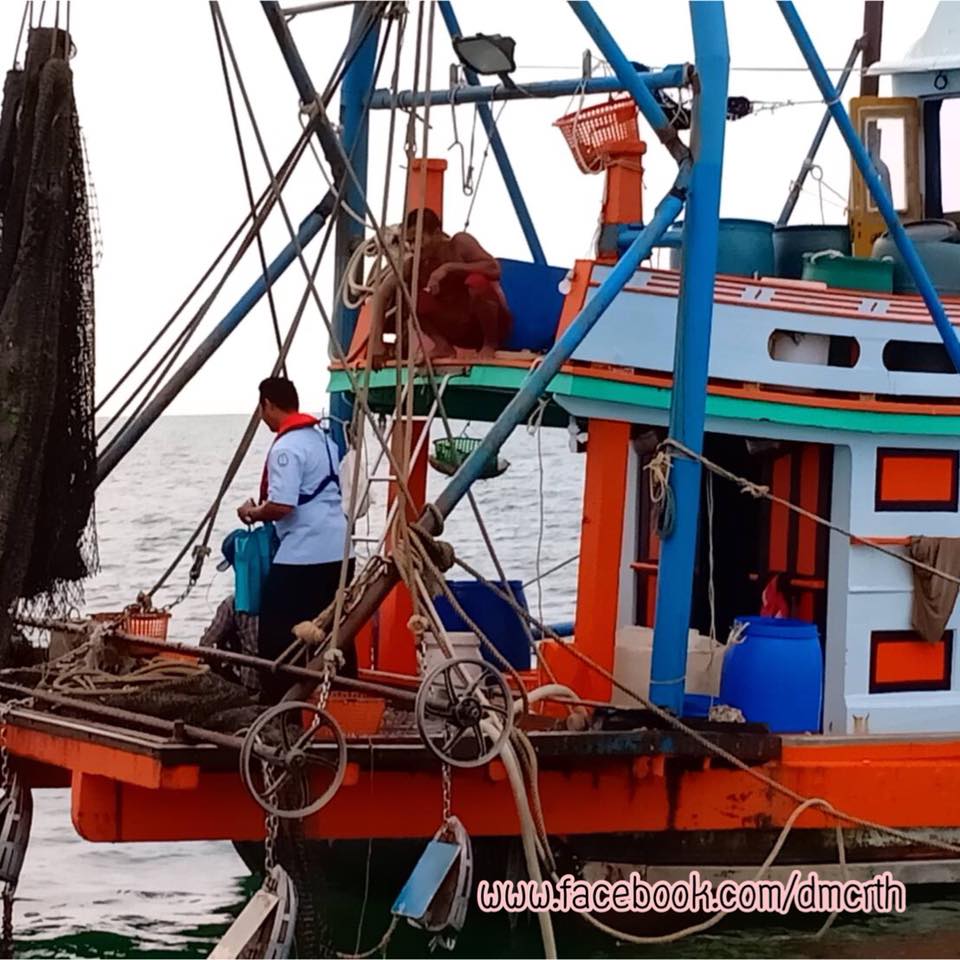 ตรวจเรือประมงปัตตานี ไม่พบผิดกฎหมาย