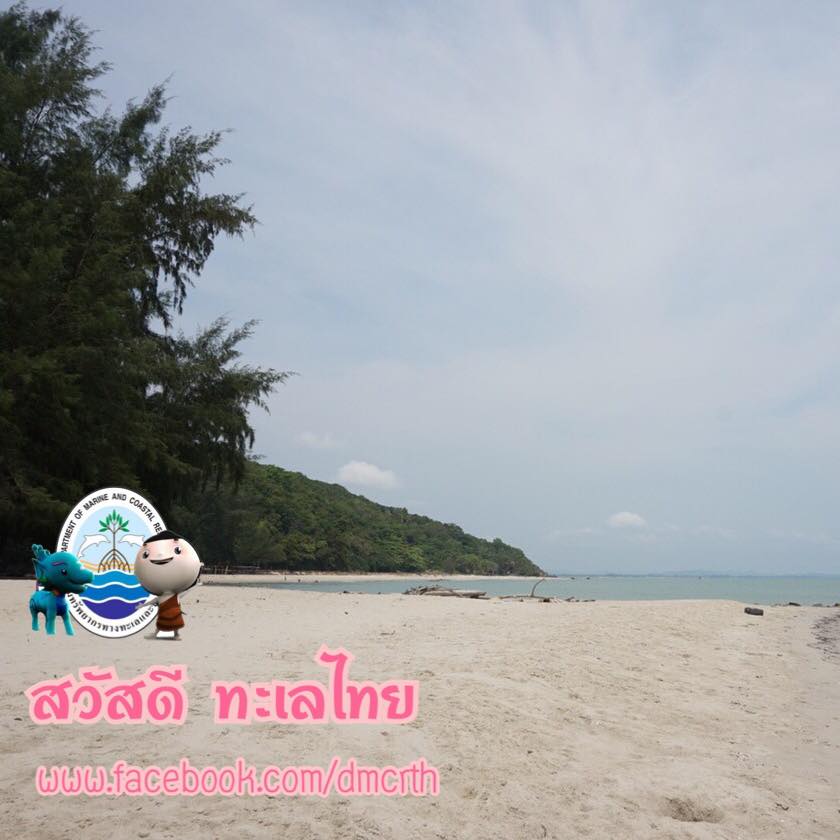 สวัสดี พี่น้องเครือข่ายรักษ์ทะเลไทย