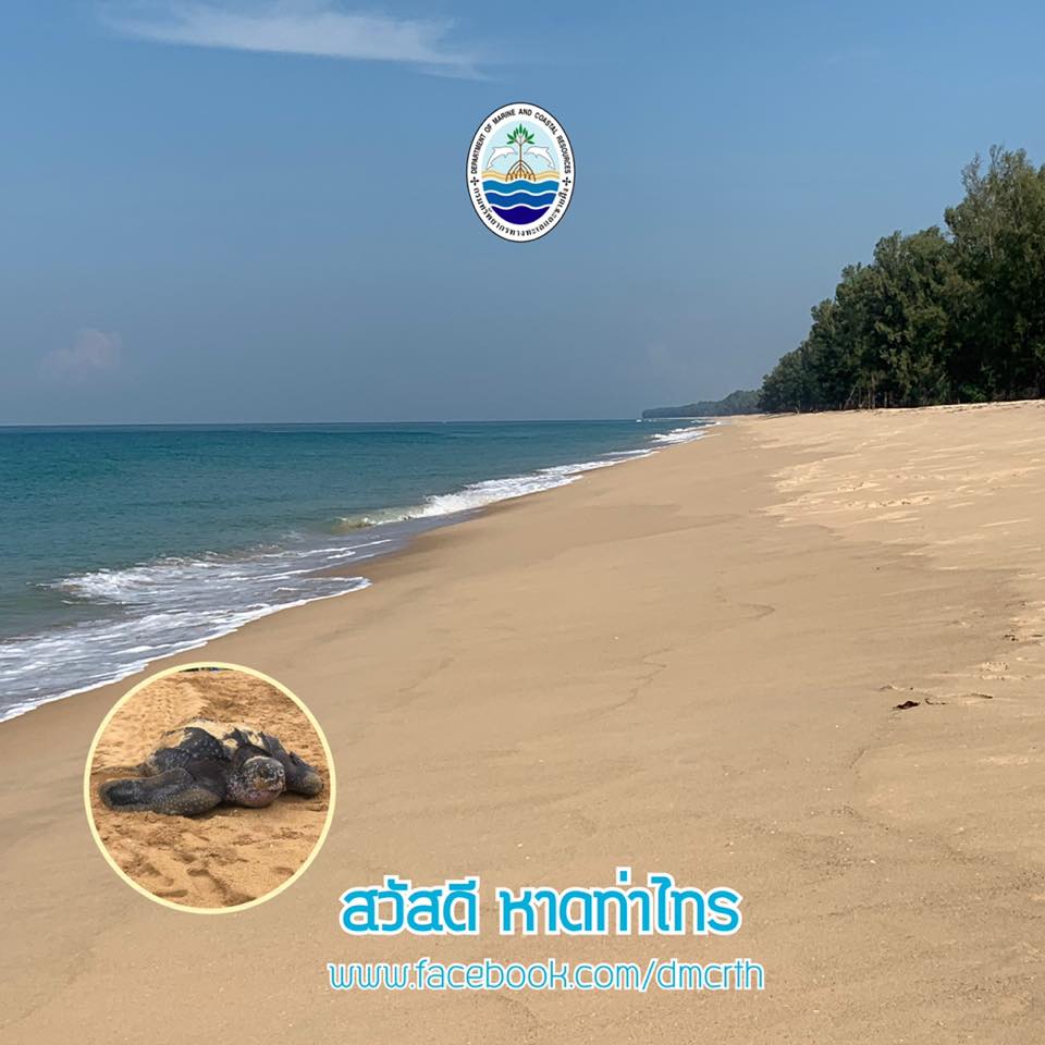 สวัสดี พี่น้องเครือข่ายรักษ์ทะเลไทย