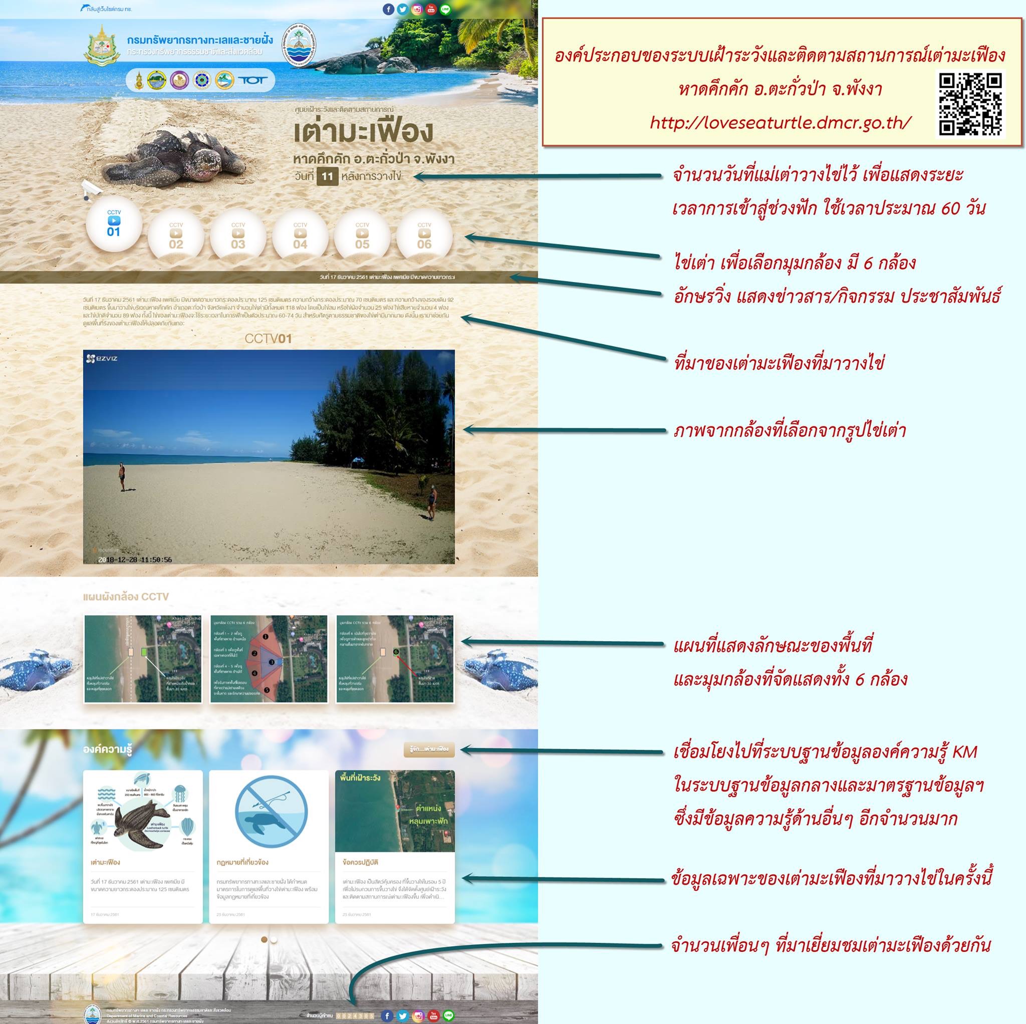 ทำความรู้จัก ระบบเฝ้าระวังและติดตามสถานการณ์เต่ามะเฟือง