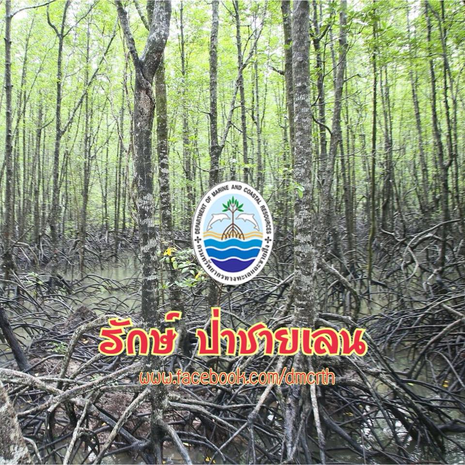 สวัสดี พี่น้องเครือข่ายรักษ์ทะเลไทย