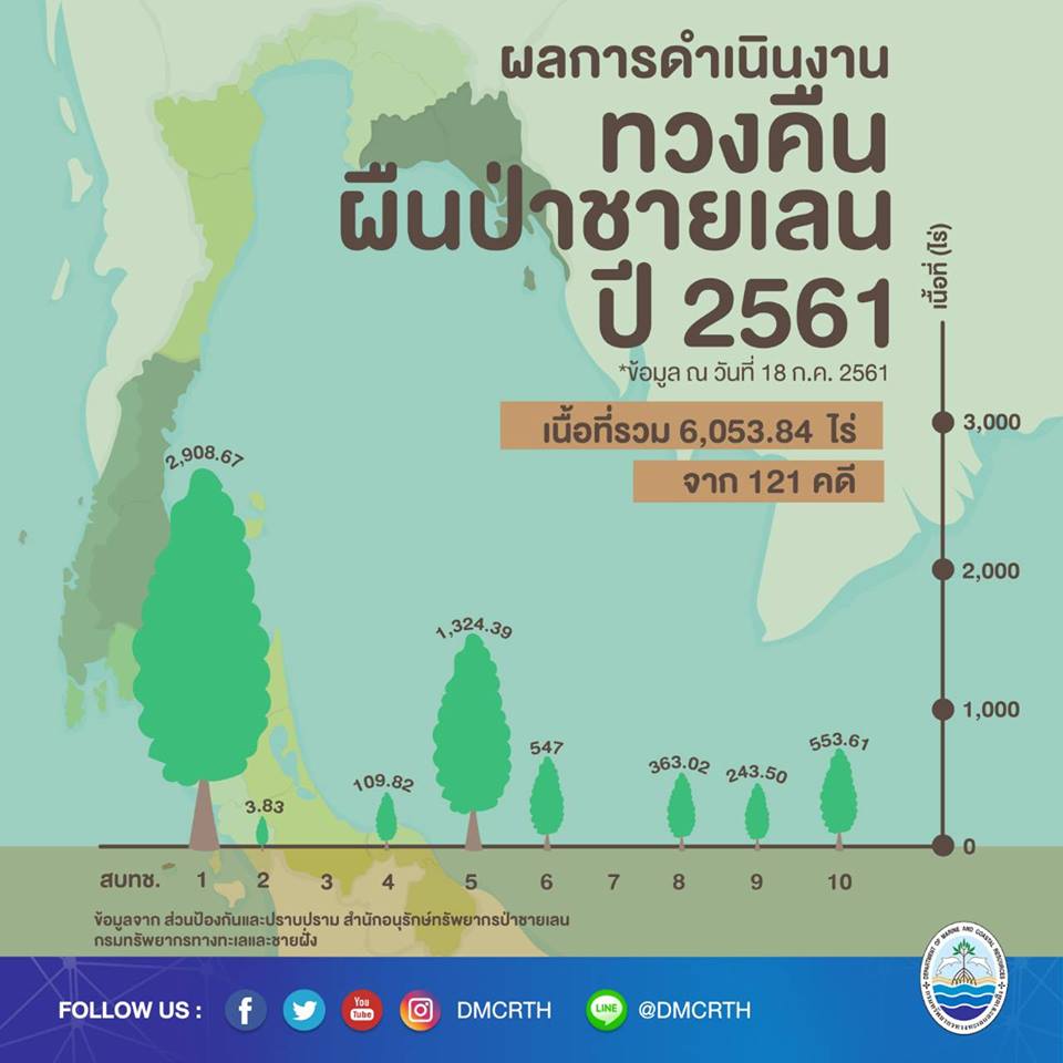 ผลการทวงคืนผืนป่าชายเลนในปี ๒๕๖๑
