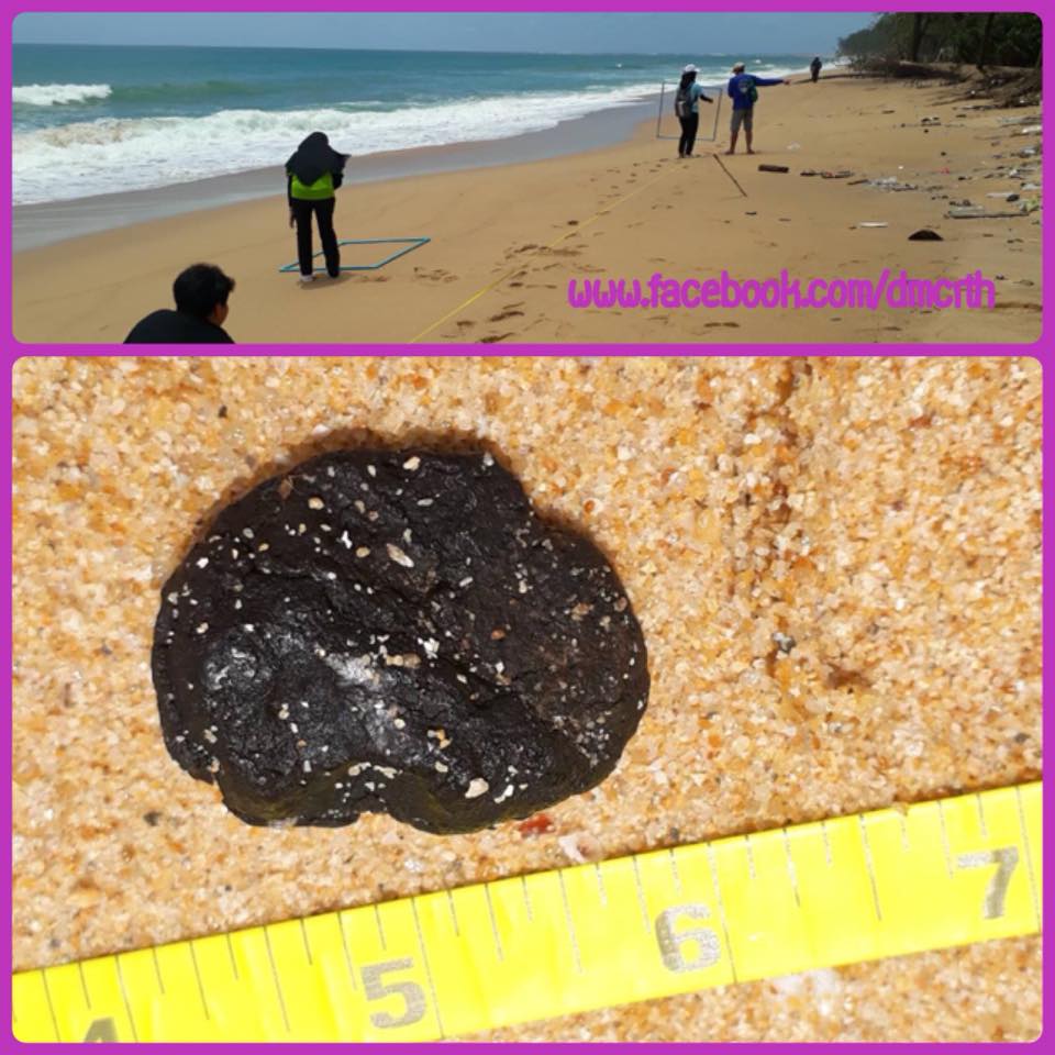 พบก้อนน้ำมันดินหลายหาดบนเกาะภูเก็ต