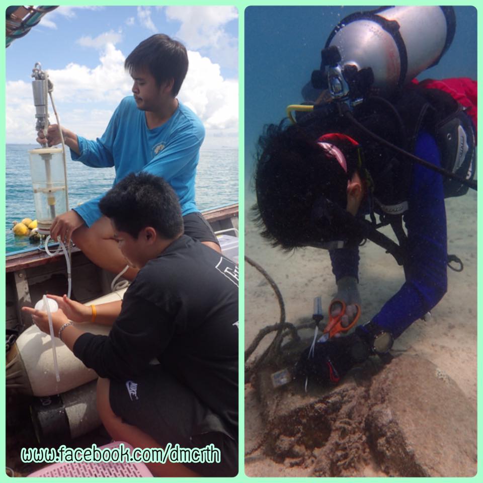 สำรวจน้ำทะเลภูเก็ตพบอยู่ในเกณฑ์มาตรฐาน