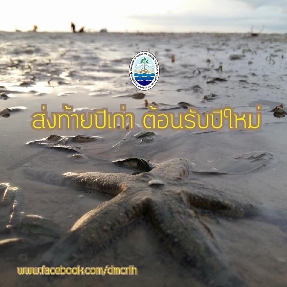 สวัสดี พี่น้องเครือข่ายรักษ์ทะเลไทย