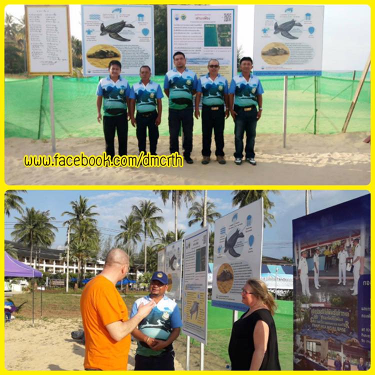 ปลอดภัยหายห่วง หลุมไข่เต่ามะเฟืองหาดคึกคัก หาดท่าไทร