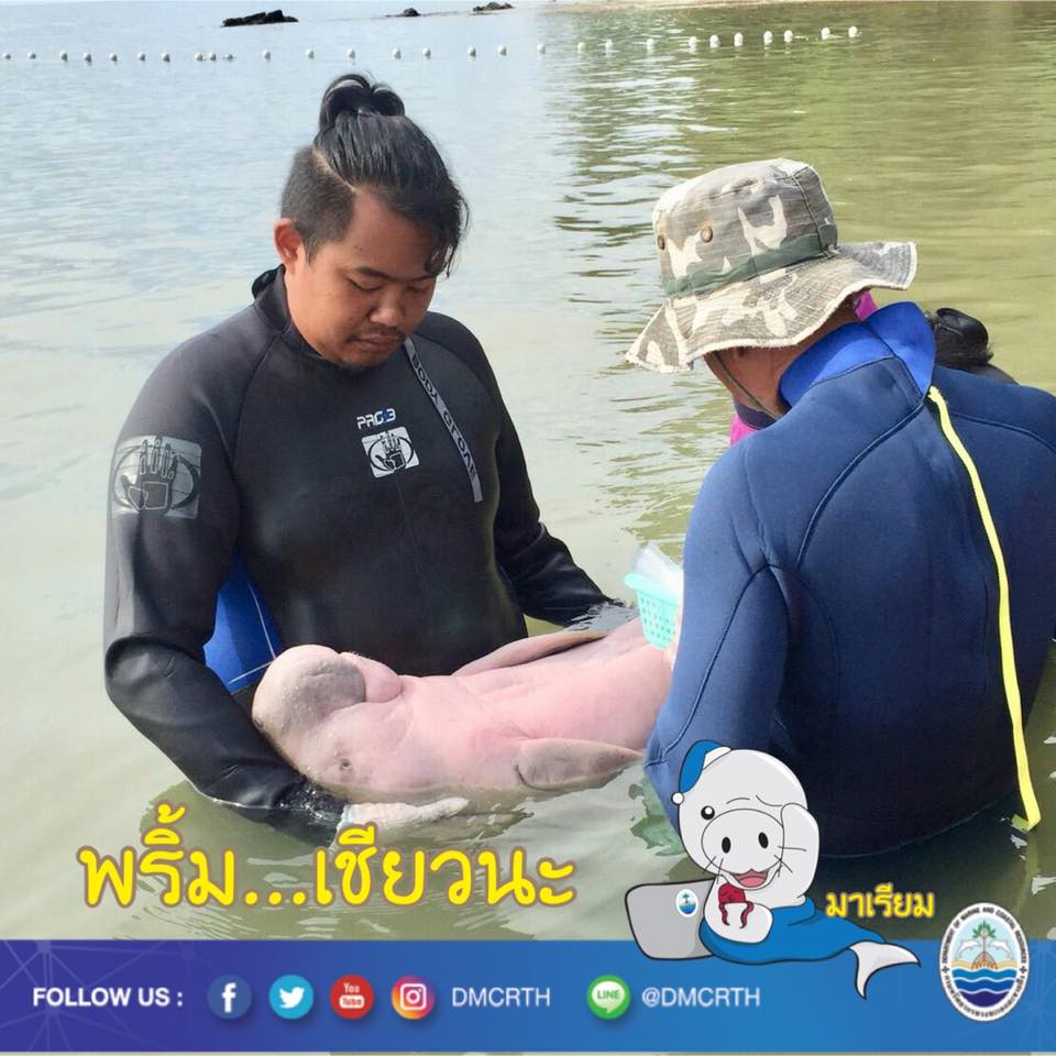 สวัสดี พี่น้องเครือข่ายรักษ์ทะเลไทย