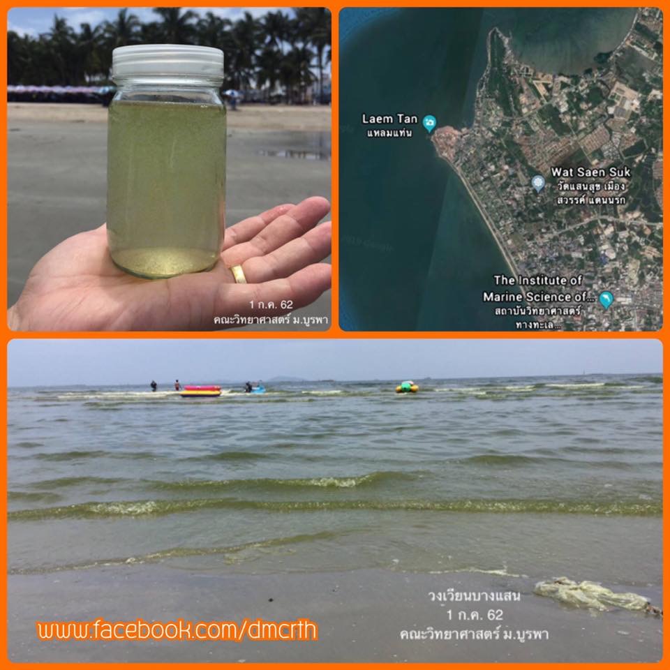 หาดบางแสนน้ำเปลี่ยนสี มาอีกแล้ว