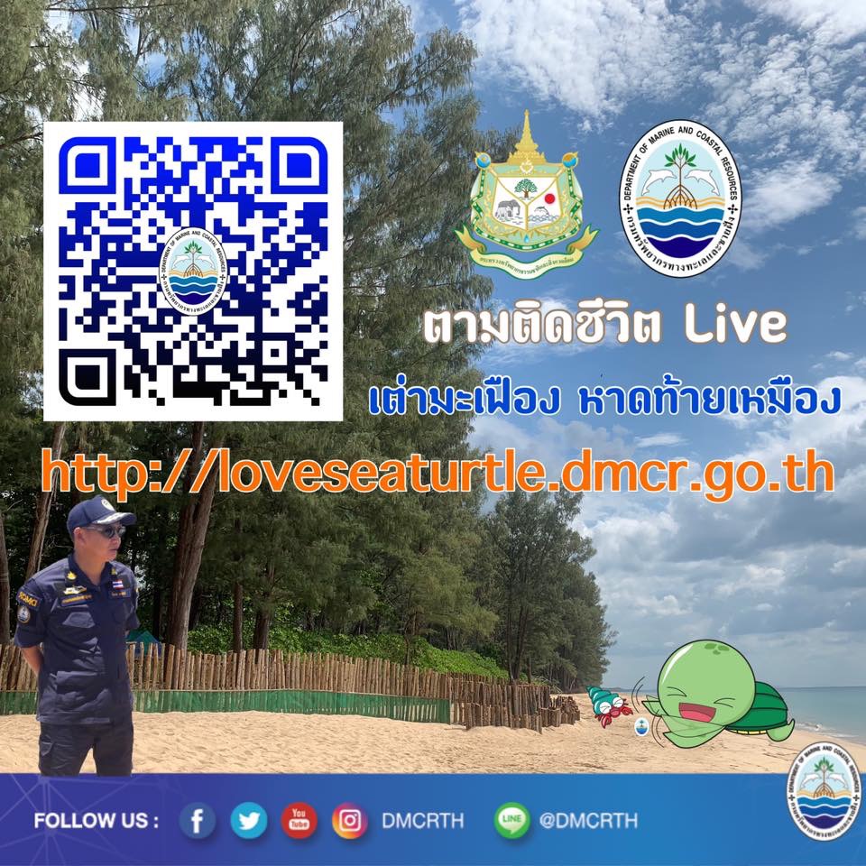 พร้อมแล้ว ทช. เพื่อคนรักเต่ามะเฟือง หาดท้ายเหมือง