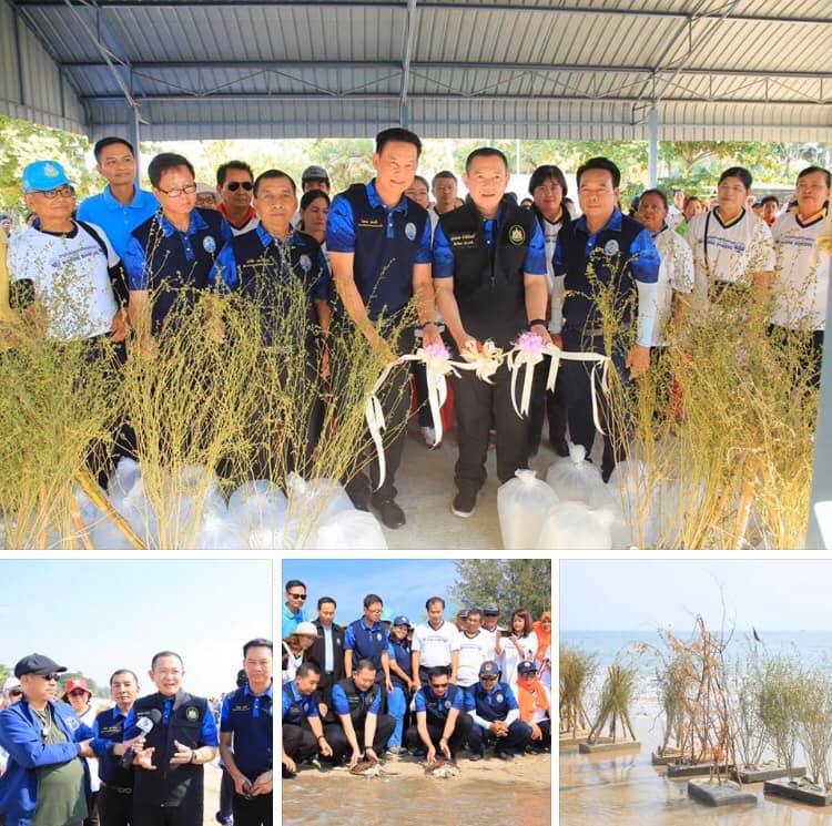 ทะเลหาดเจ้าสำราญ ทะเลบ้านเราที่ต้องรักษา