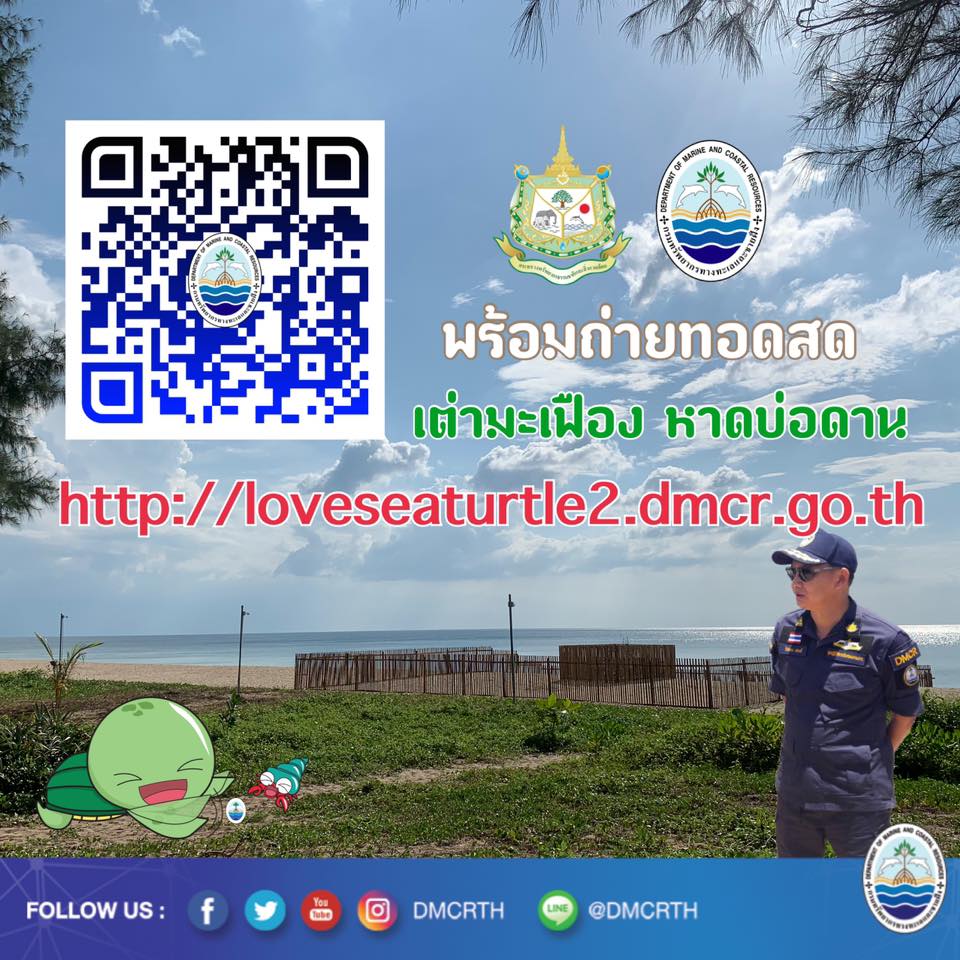 พร้อมแล้ว ทช. เพื่อคนรักเต่ามะเฟือง หาดบ่อดาน