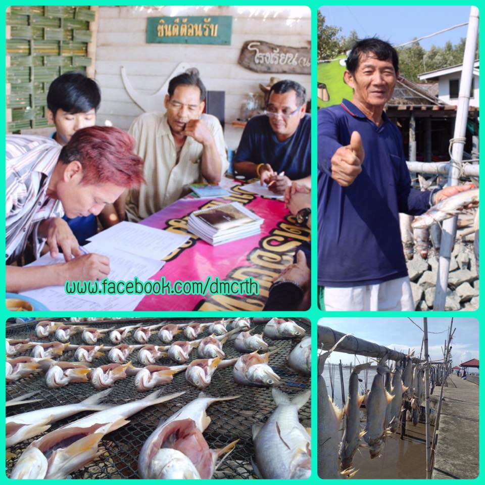 สำรวจการใช้ประโยชน์สัตว์น้ำจากป่าชายเลนสมุทรปราการ