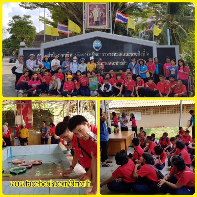 พาน้องๆ ชมบ่อเพาะพันธุ์เต่าทะเล เมืองสงขลา