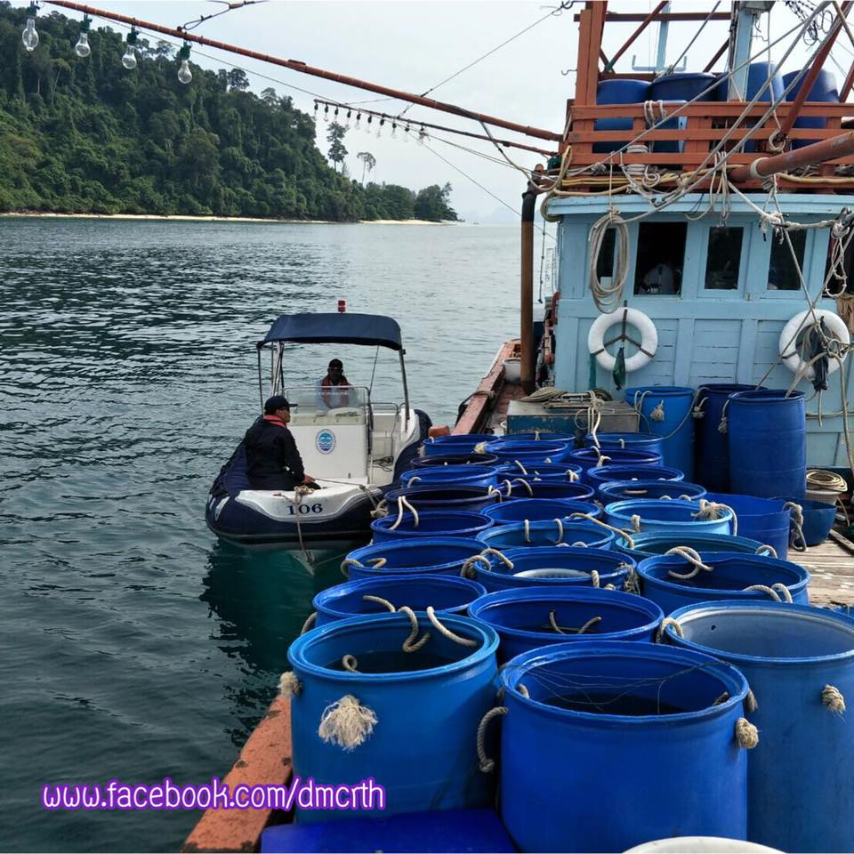 ตรวจเรือประมงตรัง ไม่พบผิดกฎหมาย