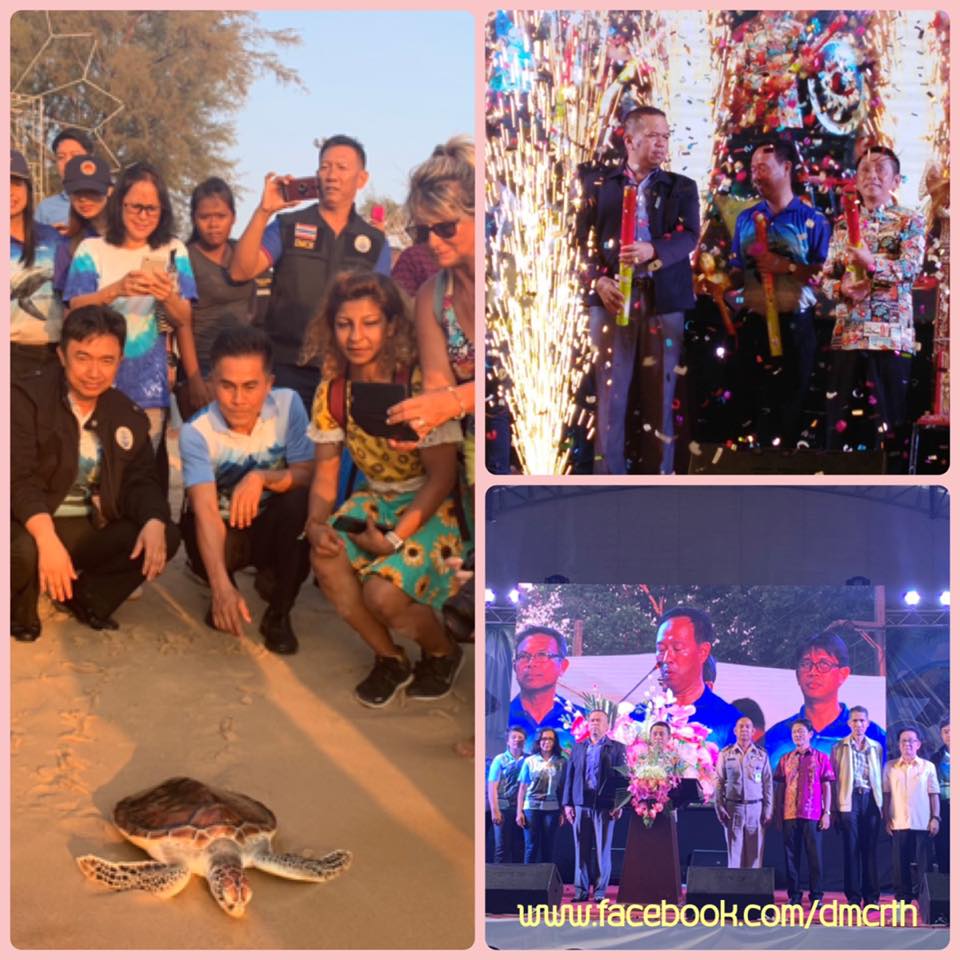 เริ่มแล้ว งานประเพณีอนุรักษ์เต่าทะเล จ.พังงา