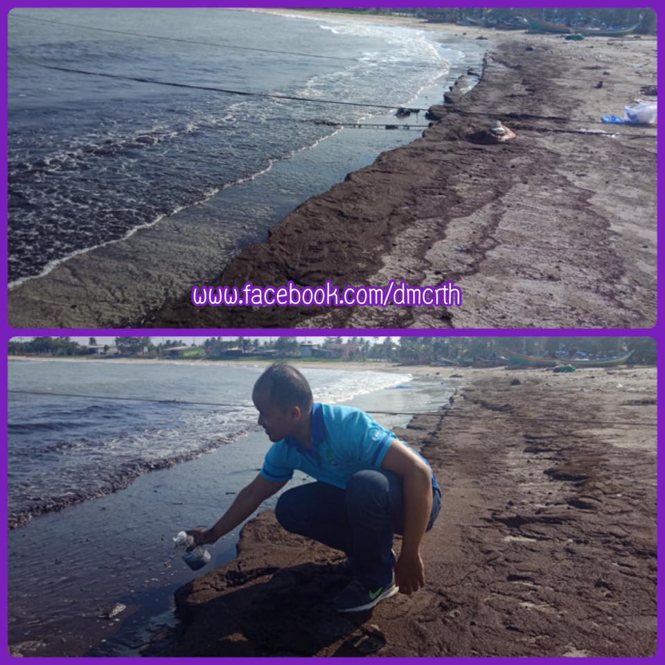 คราบดำเกลื่อนหาดบ้านบ่ออิฐ เป็นเศษกิ่งไม้ไม่อันตราย