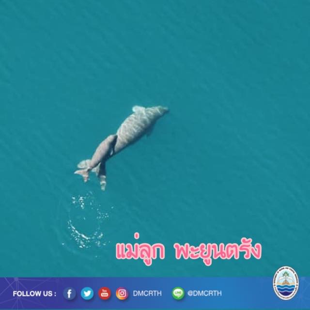 สวัสดี พี่น้องเครือข่ายรักษ์ทะเลไทย