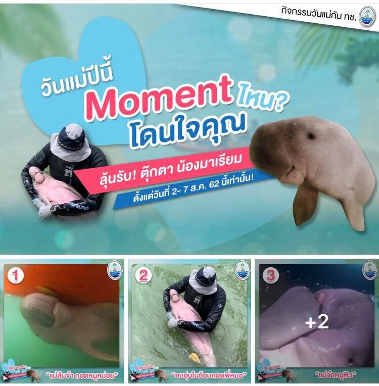กรม ทช. ชวนร่วมกิจกรรมวันแม่กับ น้องมาเรียม