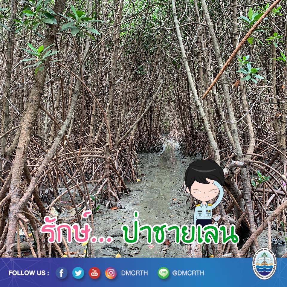 สวัสดี พี่น้องเครือข่ายรักษ์ทะเลไทย
