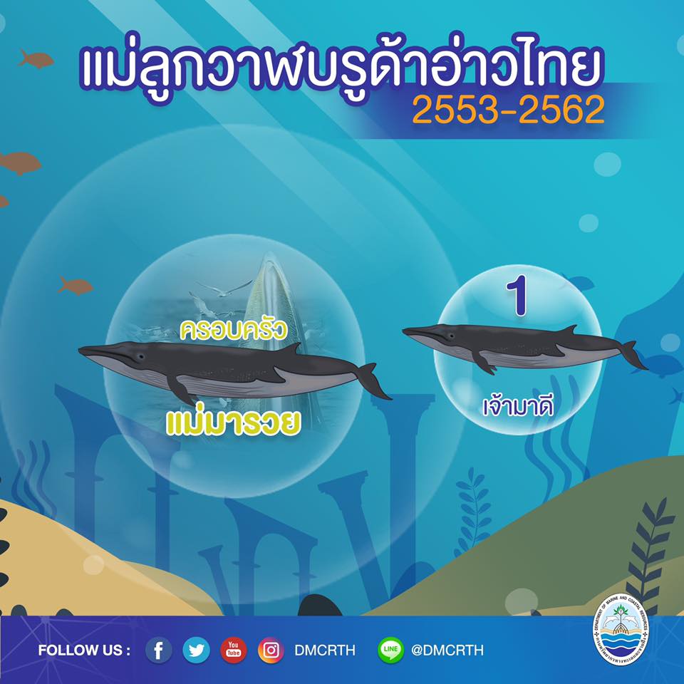 ครอบครัววาฬบรูด้า ๒/๑๘ ครอบครัวแม่มารวย