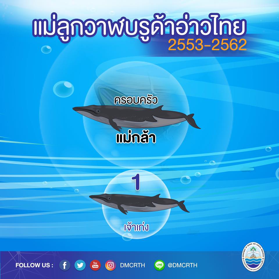 ครอบครัววาฬบรูด้า ๓/๑๘ ครอบครัวแม่กล้า
