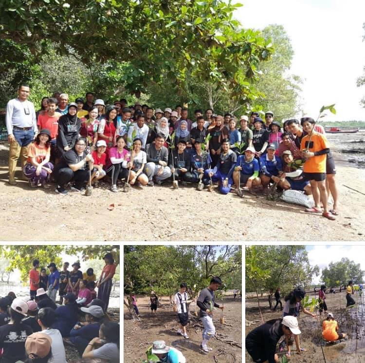 รักษาพื้นที่ป่าชายเลน เพิ่มแหล่งอนุบาลสัตว์น้ำในระบบนิเวศ