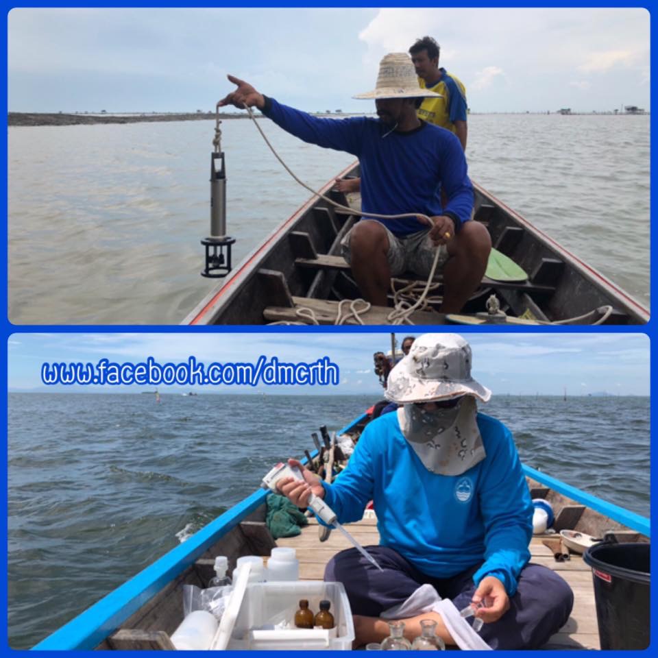 คุณภาพน้ำทะเลชุมพร ทะเลสุราษฎร์ฯ อยู่ในเกณฑ์มาตรฐาน