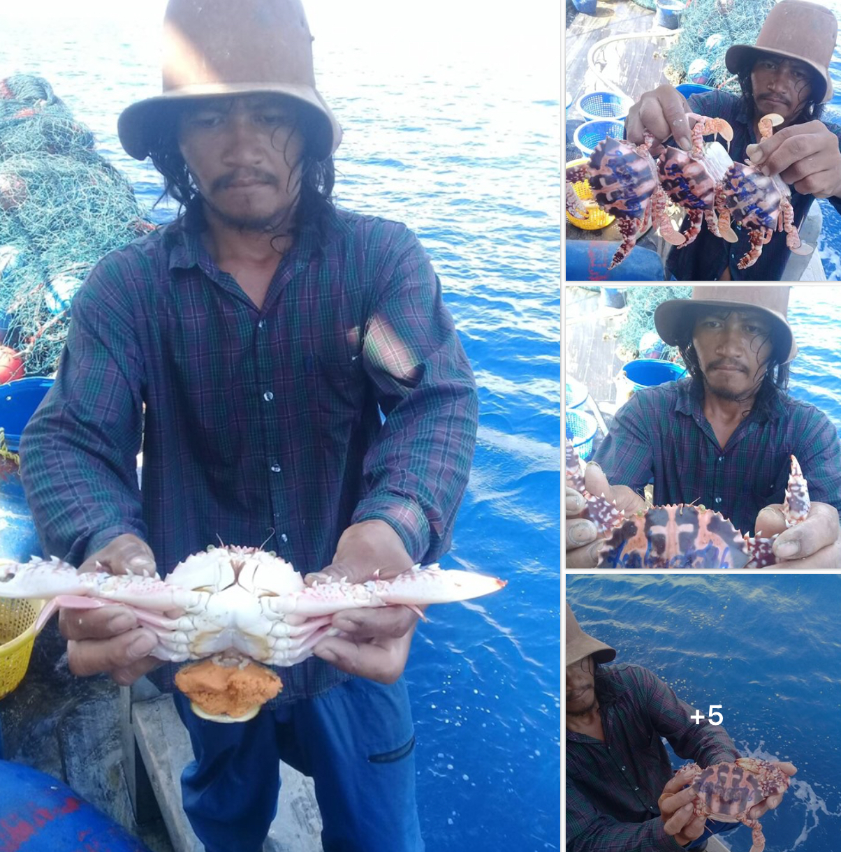 ขอบคุณประมงไทยรุ่นใหม่ ไม่จับปูไข่นอกกระดองกันแล้ว