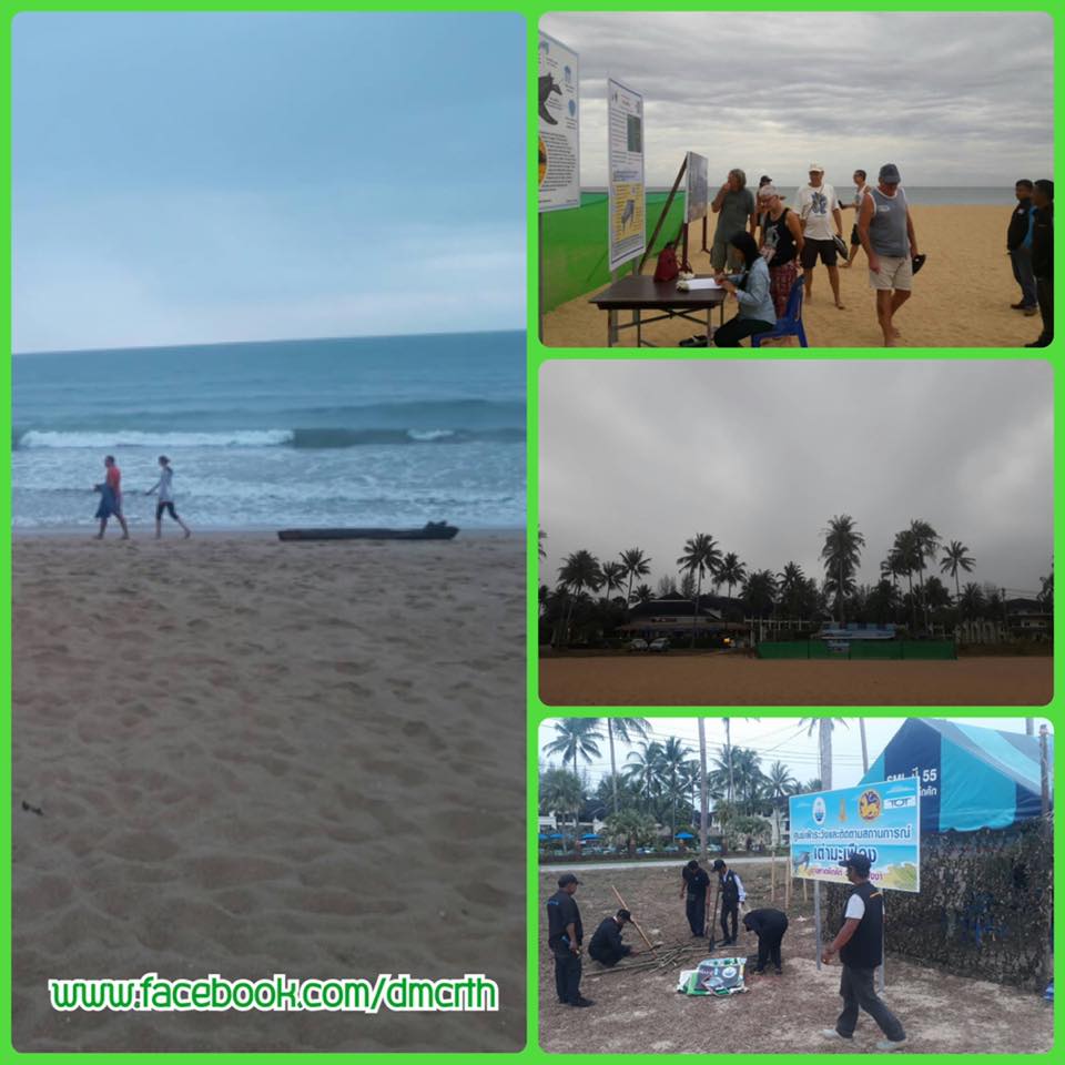 เฝ้าดูแลอย่างดี จุดวางไข่เต่ามะเฟืองหาดคึกคัก