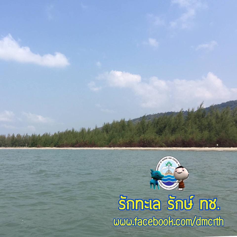 สวัสดี พี่น้องเครือข่ายรักษ์ทะเลไทย