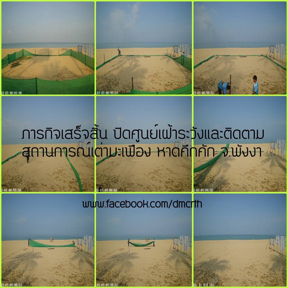 จบภารกิจ ศูนย์เฝ้าระวังและติดตามสถานการณ์เต่ามะเฟืองหาดคึกคัก