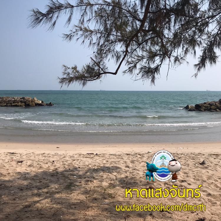 สวัสดี พี่น้องเครือข่ายรักษ์ทะเลไทย