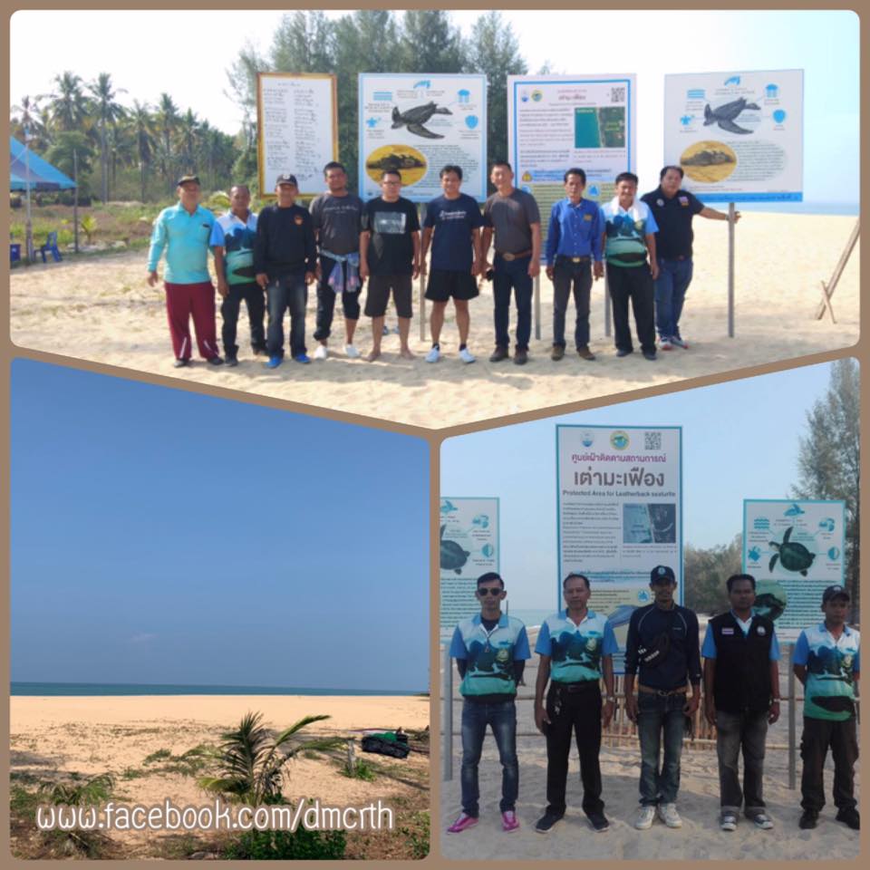 เหลือหลุมไข่เต่าหญ้า ที่หาดท่าไทร วันนี้เหตุการณ์ยังปกติ